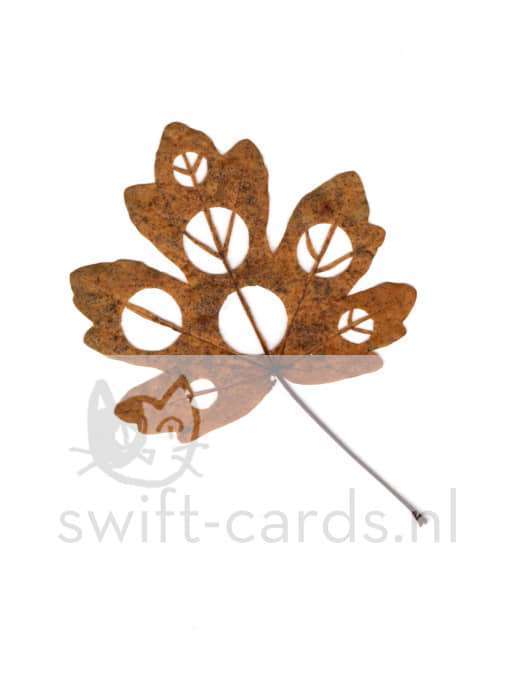 SBL01-01-001-Acer-campestre-1