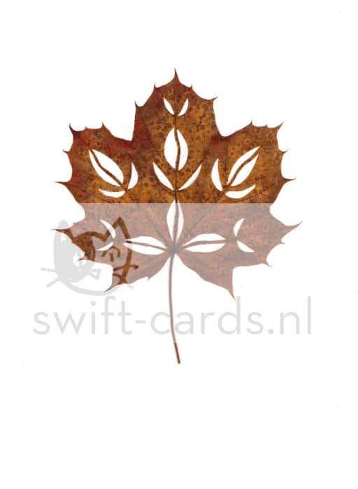 SBL01-01-005-Acer-platanoides-3