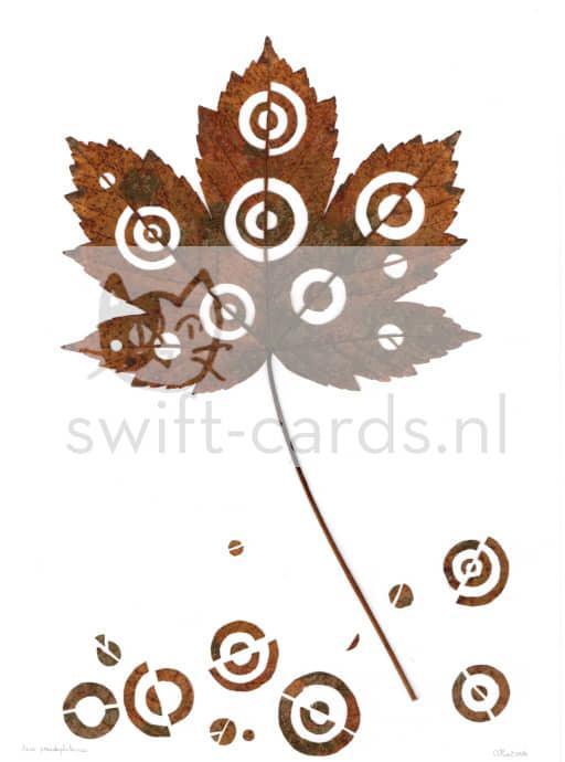 SBL01-01-008-Acer-pseudoplatanus