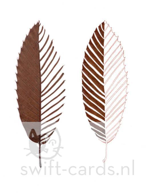 SBL01-01-010-Castanea-sativa