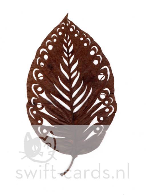 SBL01-01-015-Magnolia-4