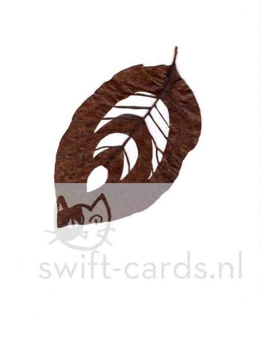 SBL01-01-016-Magnolia-stellata-12