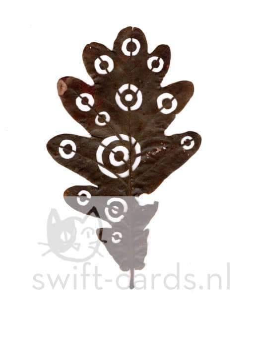 SBL01-01-017-Quercus-robur-3