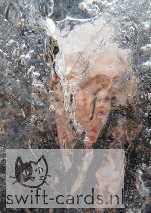 IJ01-01-003-2018-03-08-71