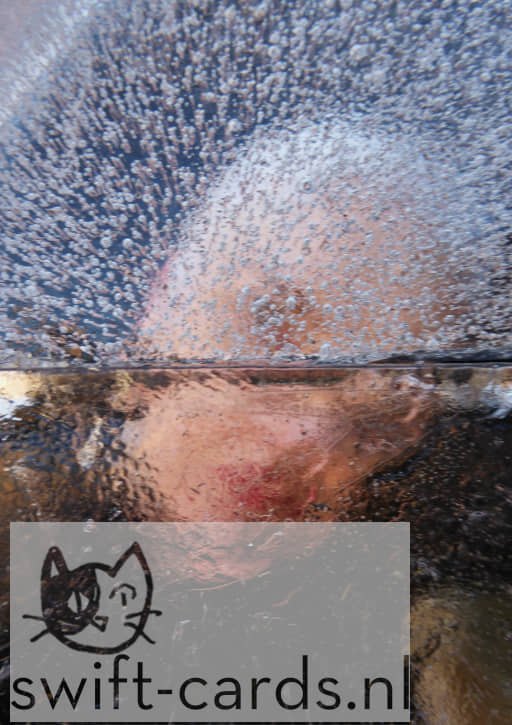 IJ01-01-006-2018-03-19-102