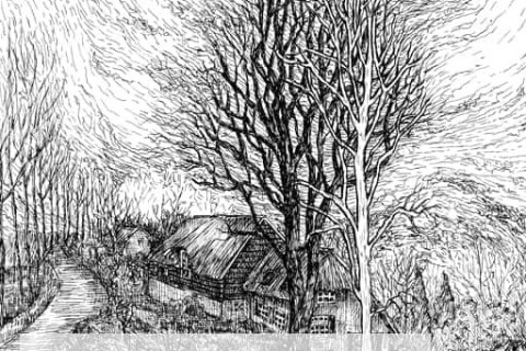 N.Zand-t.NB_.4254