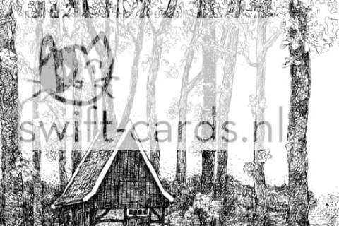 N.Zoeke_.-7597.Saasveld